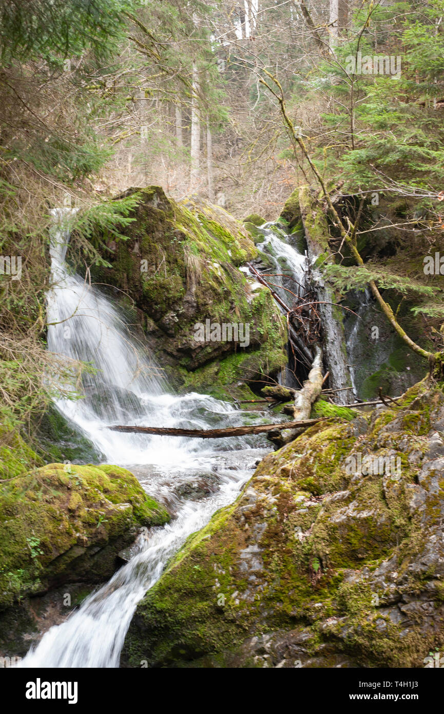 forest waterfalll, in early spring, Wutachschlucht Gorge, Black Forest, Germany Stock Photo