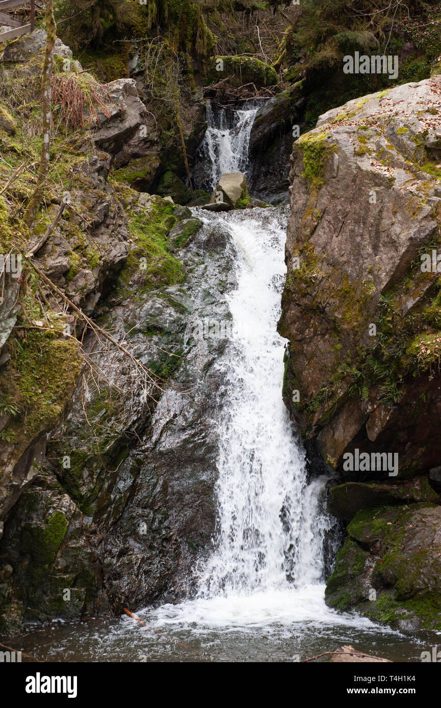 Triberg Falls, Triberger Wasserfalle, waterfall in spring, Triberg, Black Forest, Germany Stock Photo