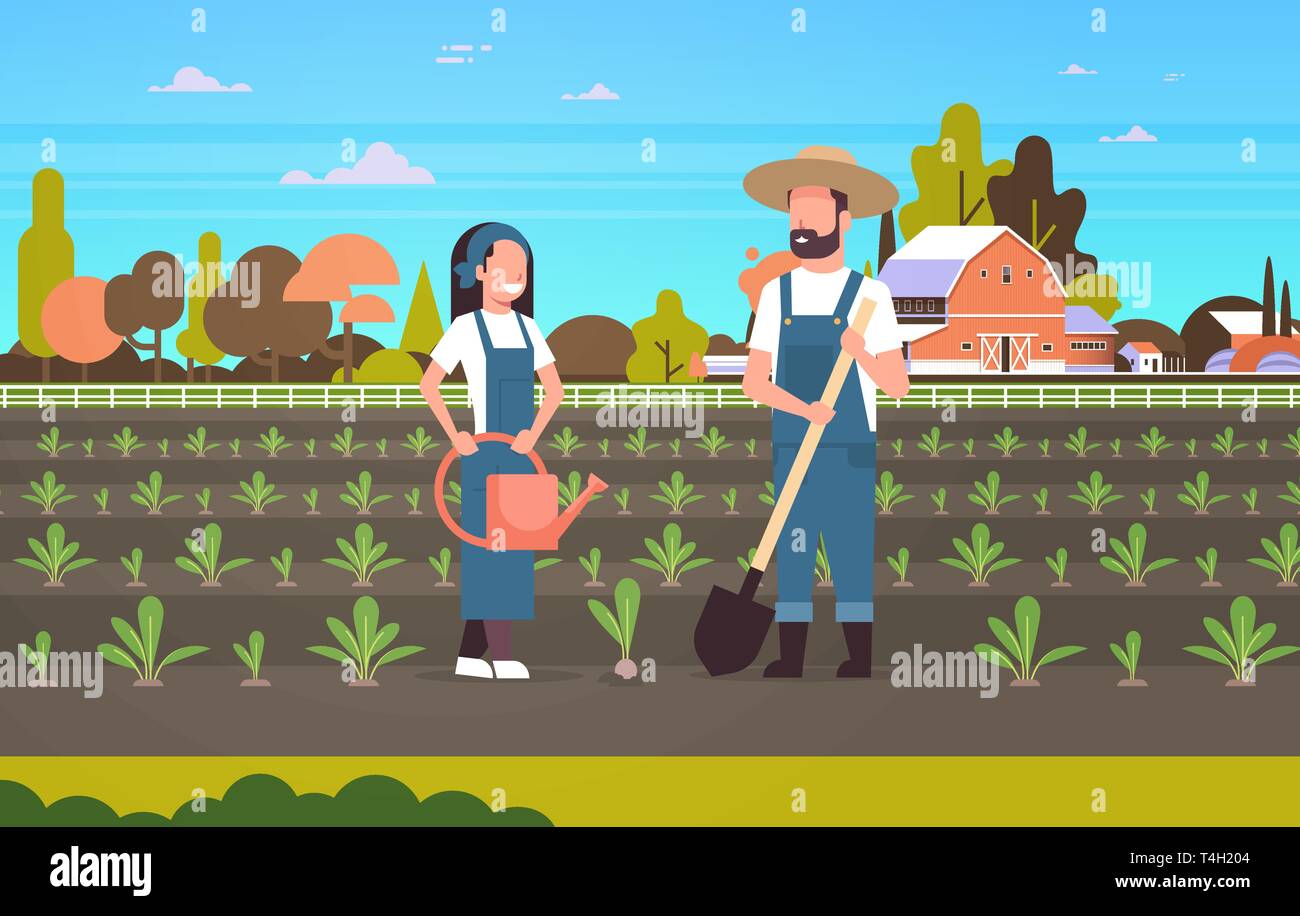 couple farmers planting seedlings plants vegetables man woman gardeners ...