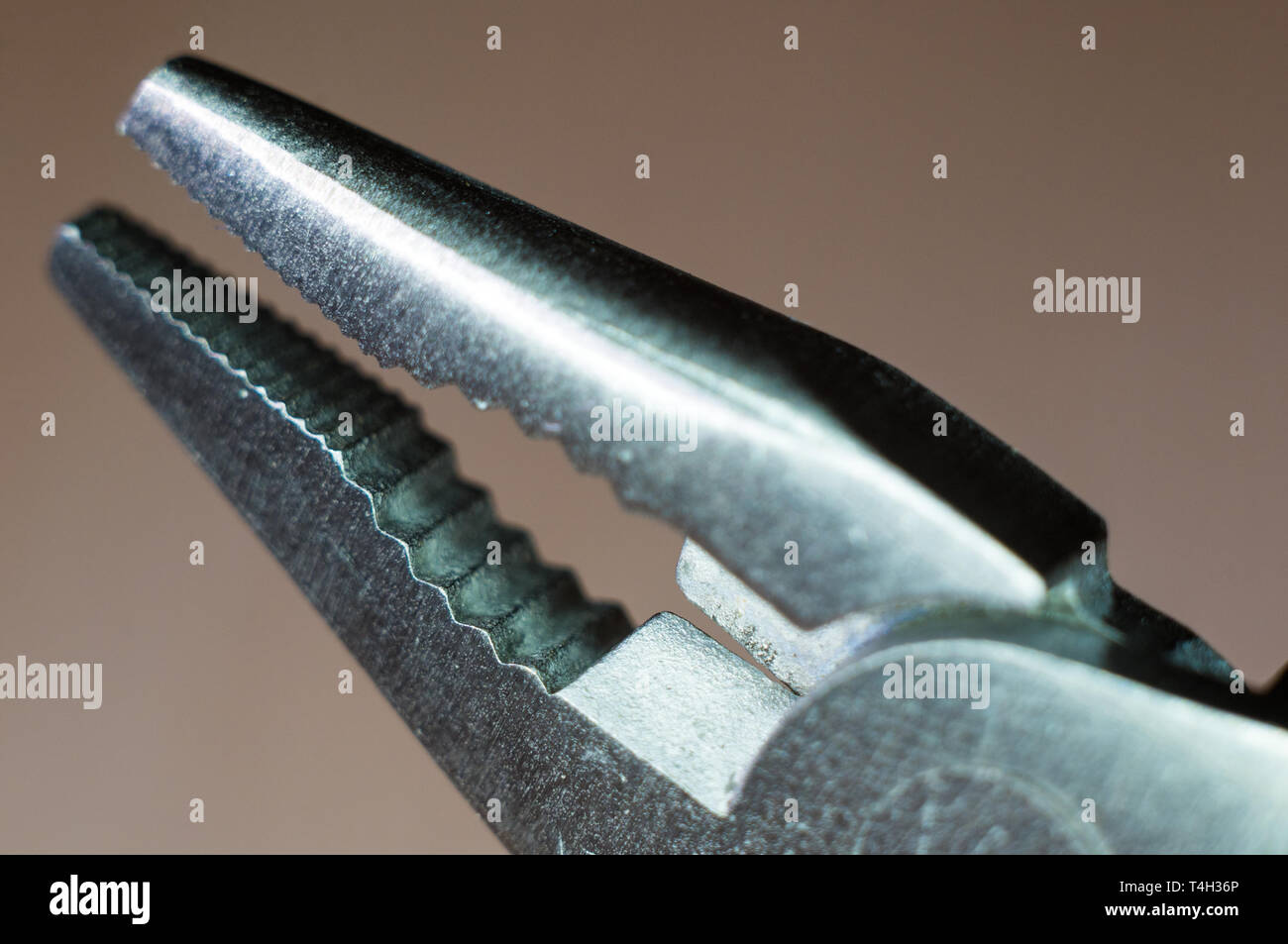elements small foldable steel multitool, closeup, macro Stock Photo