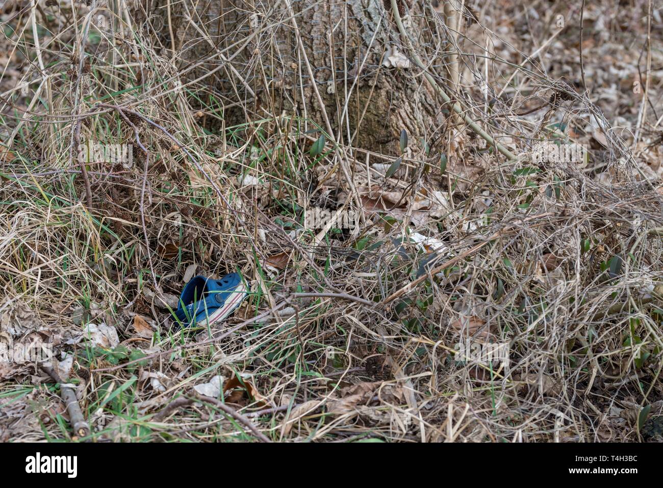 Single blue children sandal thrown away in high grass, Germany Stock Photo