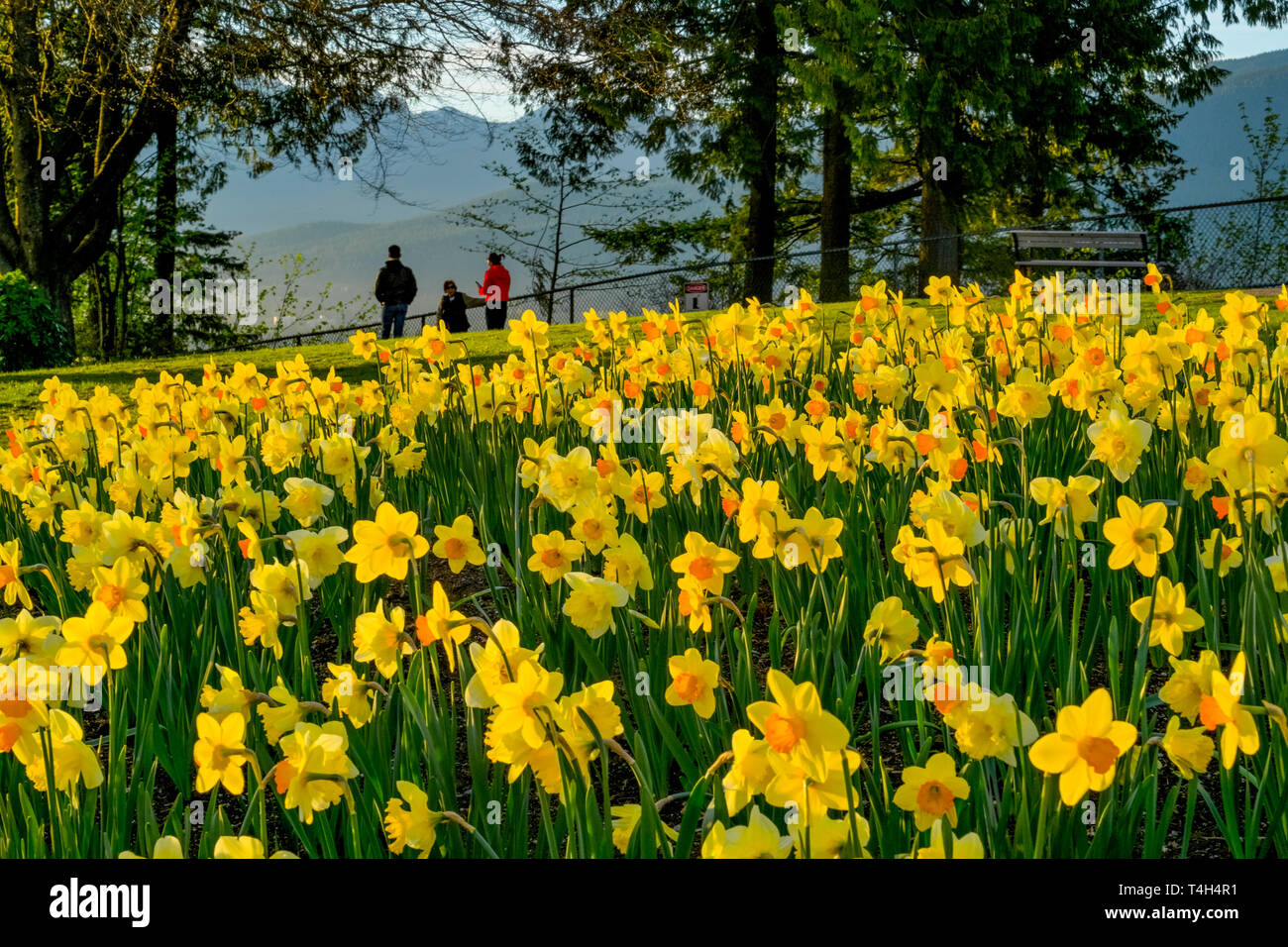 Burnaby mountain park hires stock photography and images Alamy