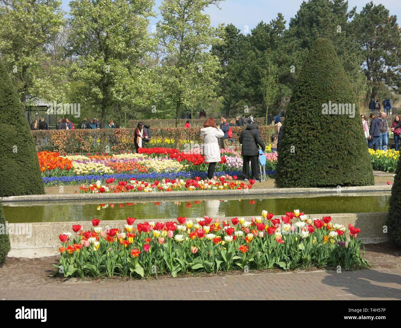 Colourful bedding displays of tulips & other spring bulbs are a feature ...