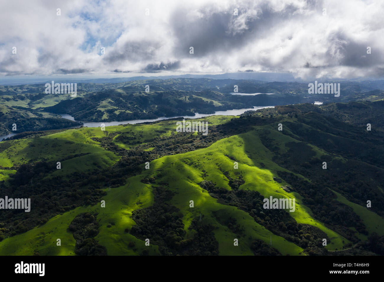 Morning light illuminates the hills surrounding San Francisco Bay. A wet winter has caused lush vegetation growth in the East Bay hills near Oakland. Stock Photo
