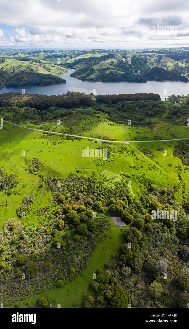 A beautiful morning lights the green hills around the San Pablo Reservoir in Northern California. A wet winter has caused lush vegetation growth. Stock Photo