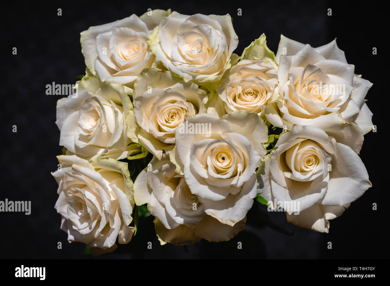 White rose flowers bundled together against black background Stock Photo