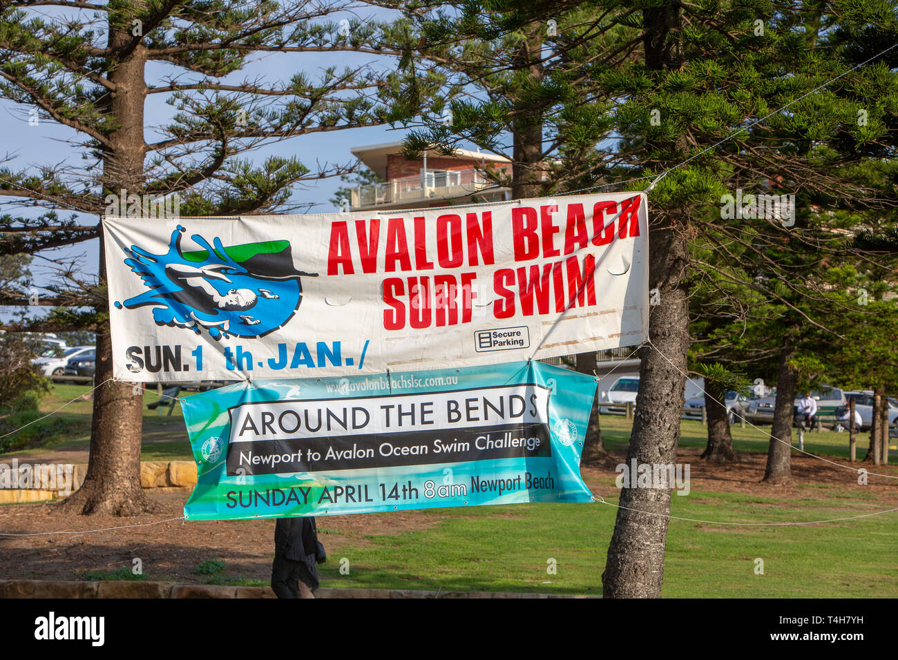 Australian beach swim race hi-res stock photography and images - Alamy