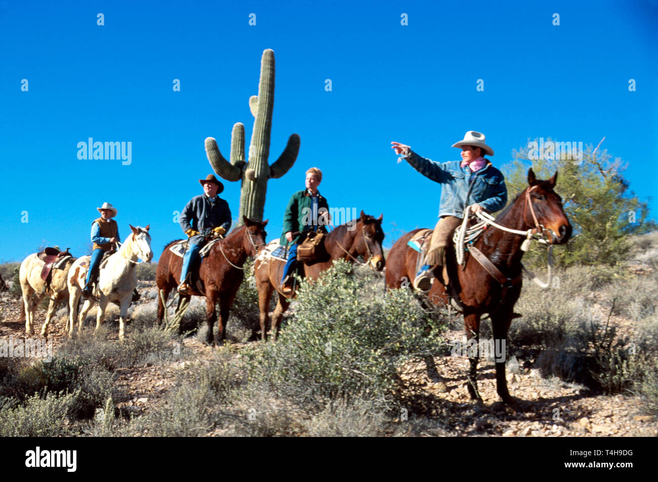 Arizona,AZ,Southwest,West,Grand Canyon State,Sonora Desert,Wickenburg,Rancho de Los Caballeros Resort,cowboy,wrangler leads trail ride,saguaro cactus, Stock Photo