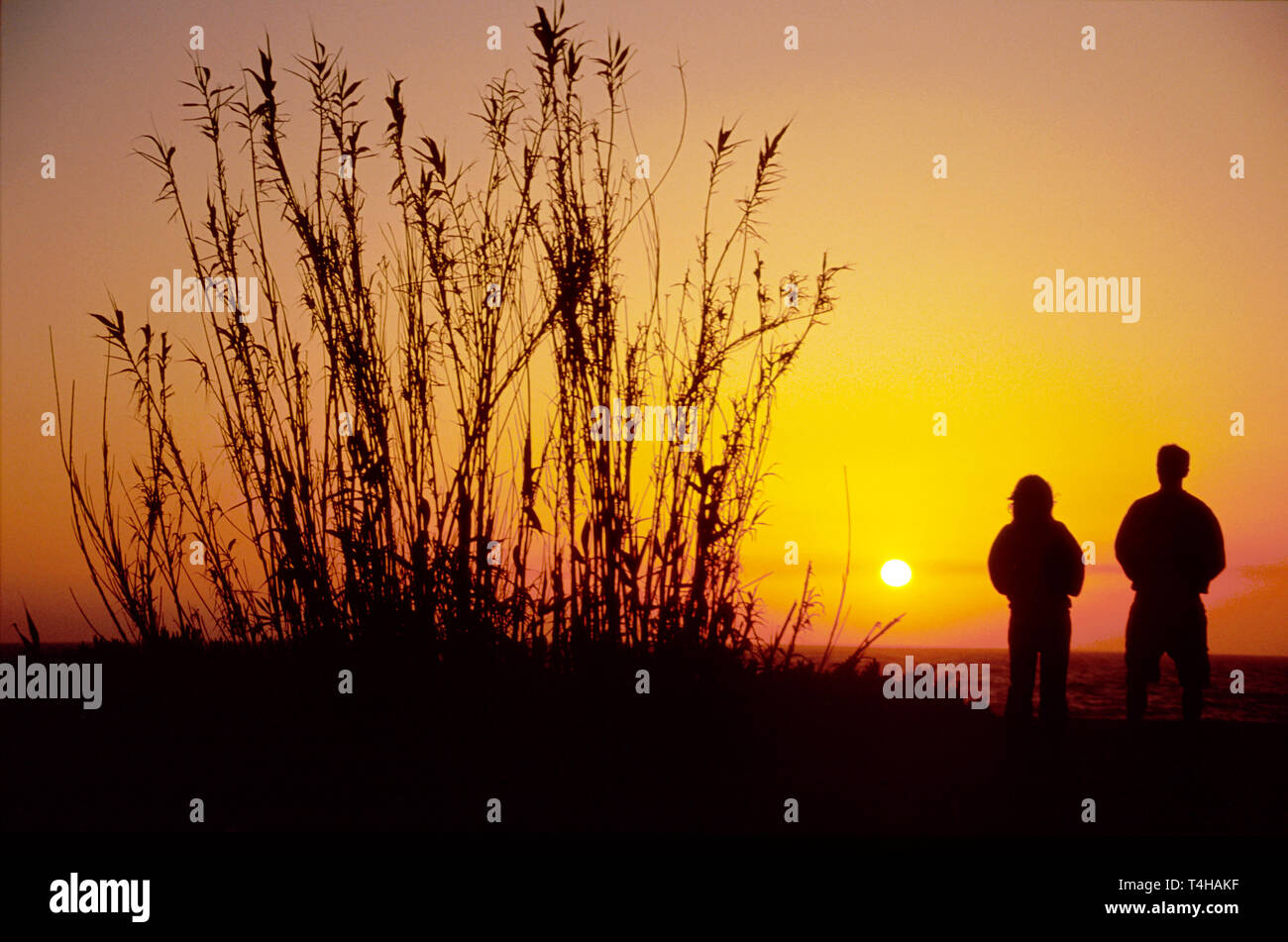 Wet weather sport hires stock photography and images Alamy