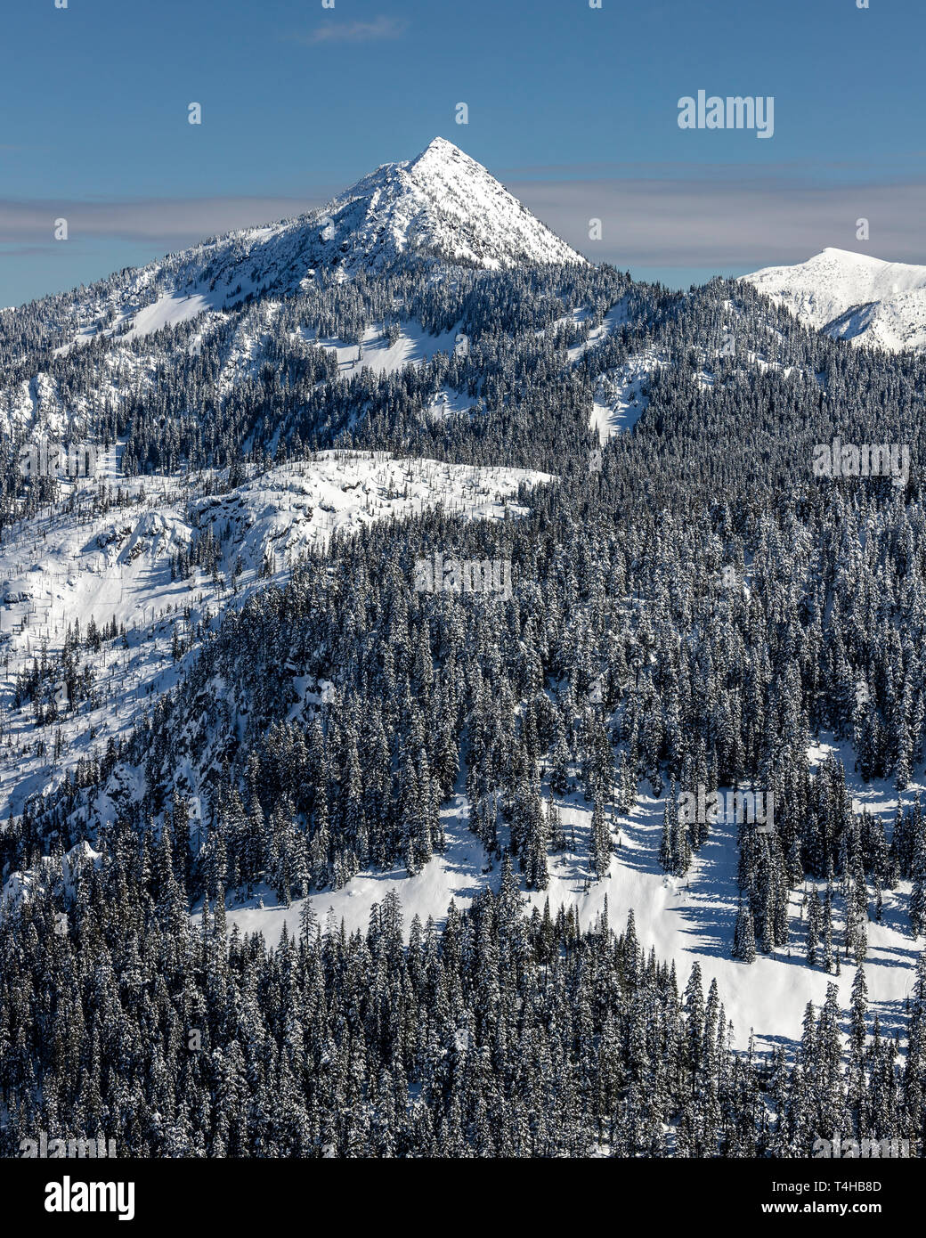 Rolling forest hills of Cascade Mountain Range covered in powder on blue sky day Stock Photo