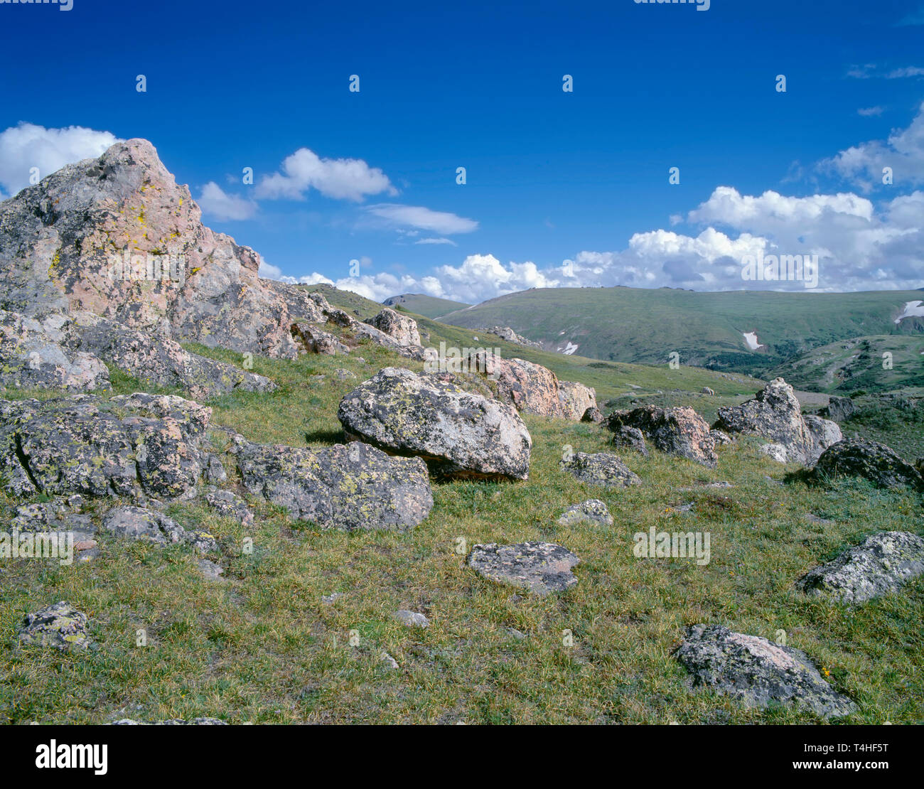 USA, Colorado, Rocky Mountain National Park, Alpine tundra and lichen covered rocks along upper portion of Old Fall River Road. Stock Photo