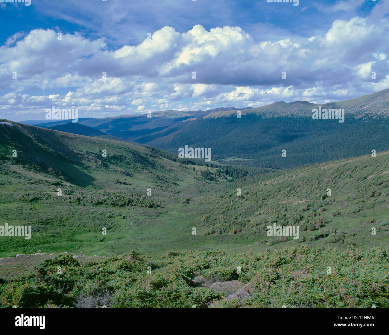 USA, Colorado, Rocky Mountain National Park, View northwest from Trail Ridge Road towards the headwaters of the Colorado River and distant Never Summe Stock Photo