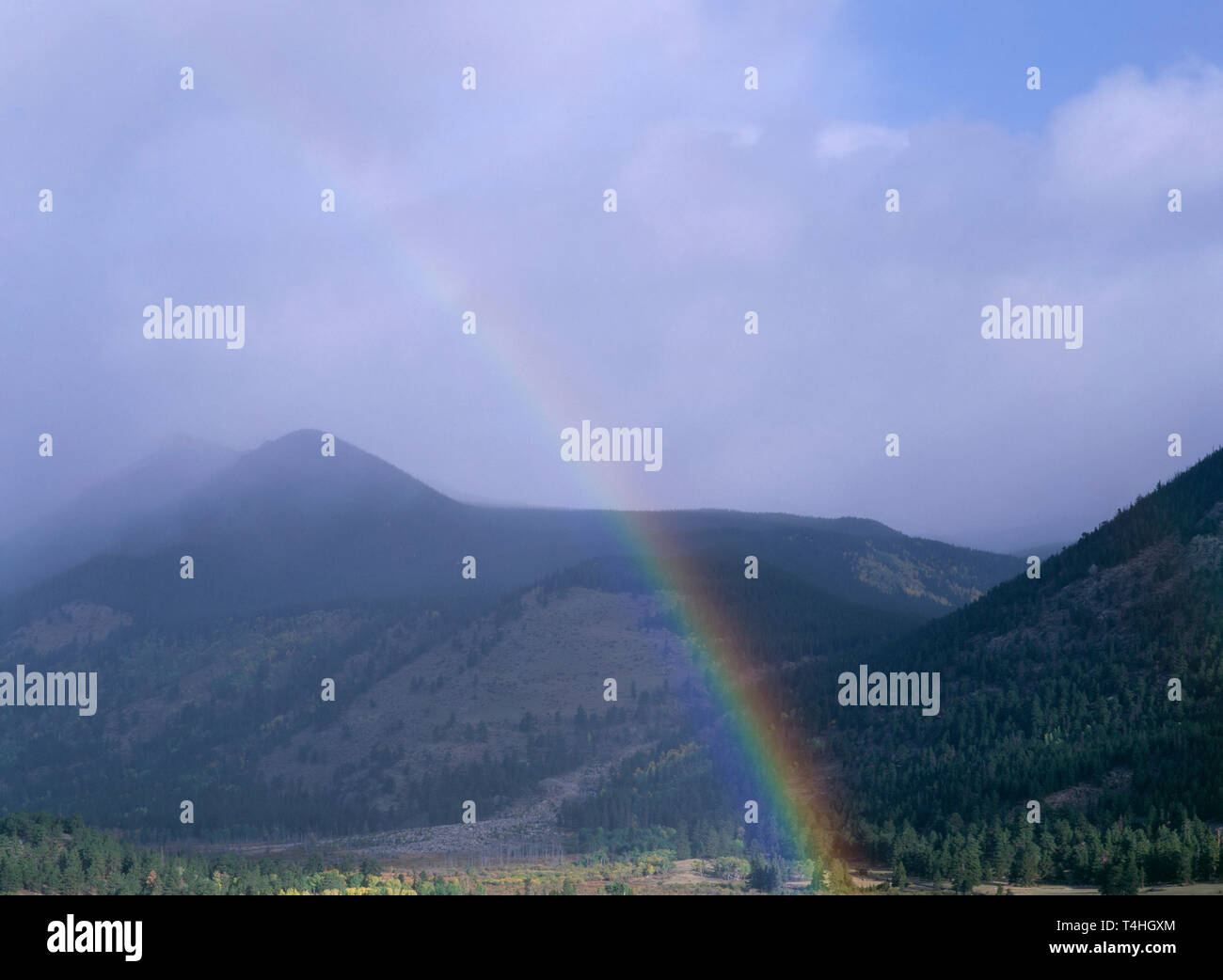 USA, Colorado, Rocky Mountain National Park, Rainbow and Horseshoe Park. Stock Photo
