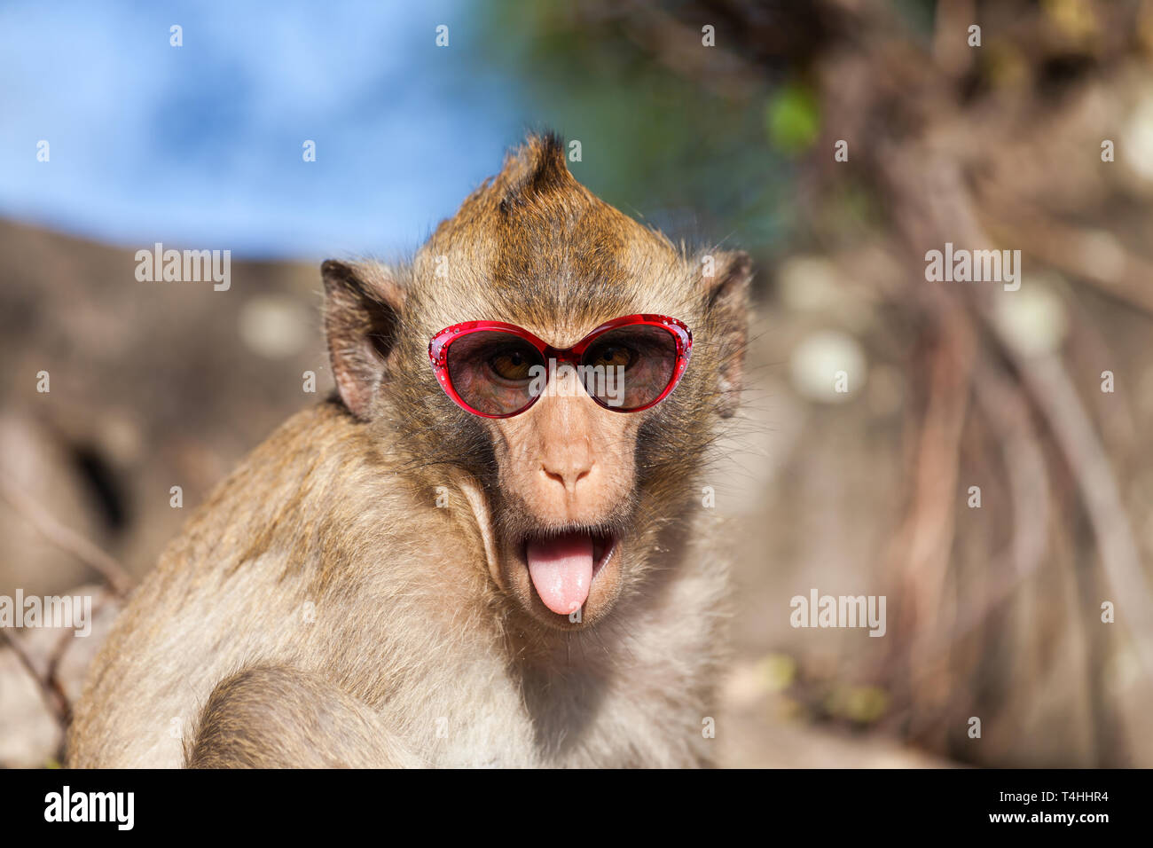 Stick out funny hi-res stock photography and images - Alamy