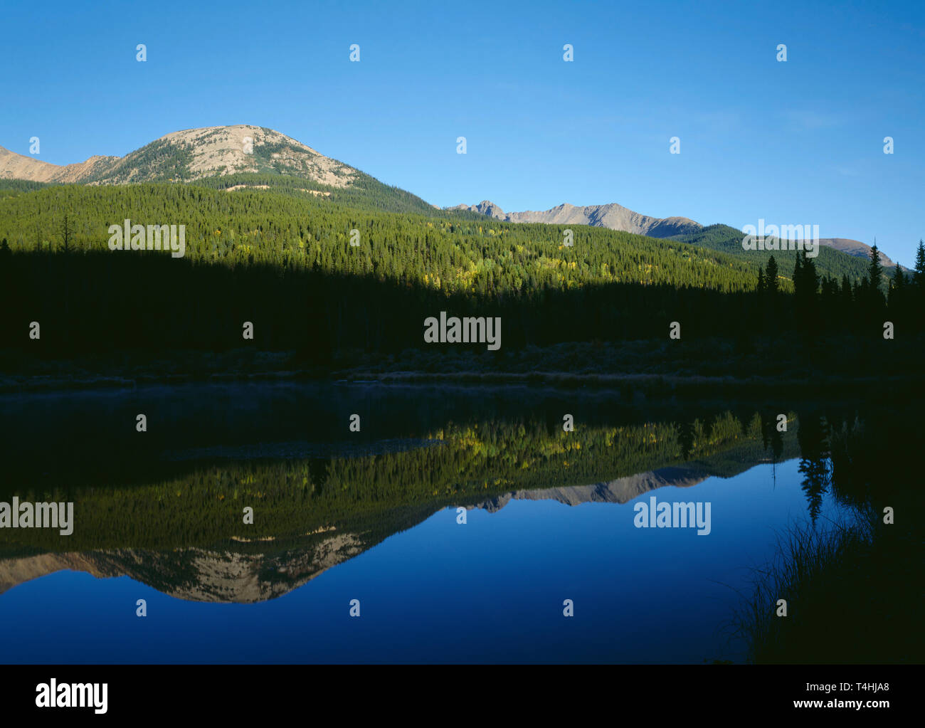 USA, Colorado, Rocky Mountain National Park, Beaver Ponds in the North Fork of the Colorado River Valley reflect peaks of the Never Summer Range. Stock Photo