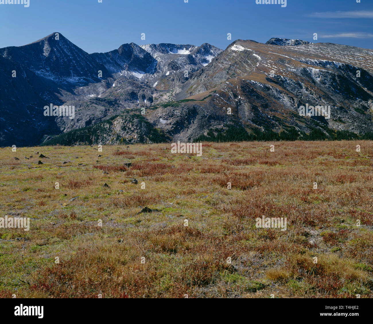 USA, Colorado, Rocky Mountain National Park, Mt. Julian (left) and Mt. Ida (right) rise beyond autumn tundra along the continental divide. Stock Photo