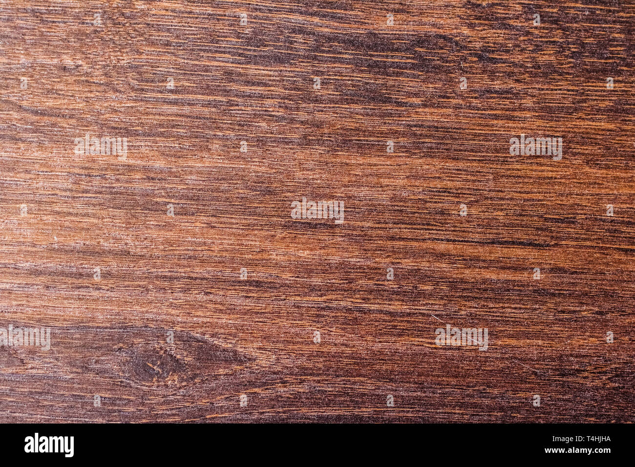 Curated visual reference: Fresh Look at Flooring New Apartment And Home Renovation Concept