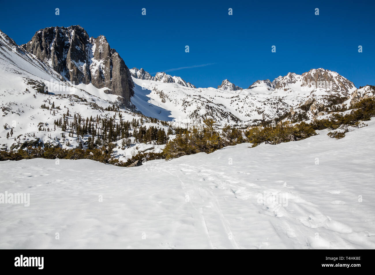 Hiking trail and skiing skin tracks through the snow in the North Fork drainage of Big Pine Creek. Temple Crag, North Palisade, Thunderbolt Peak, Moun Stock Photo
