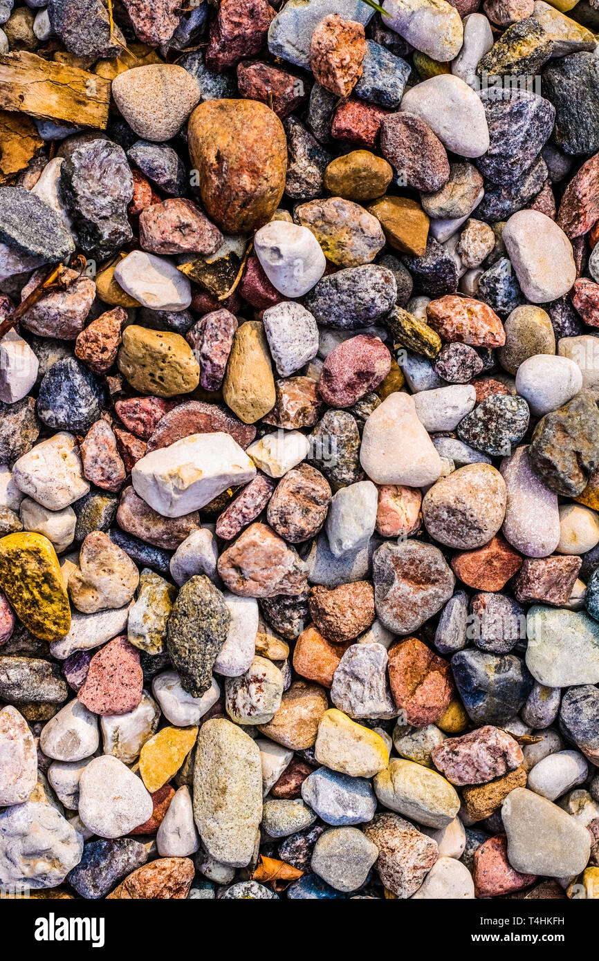 Landscape architecture, interior design and nature elements concept