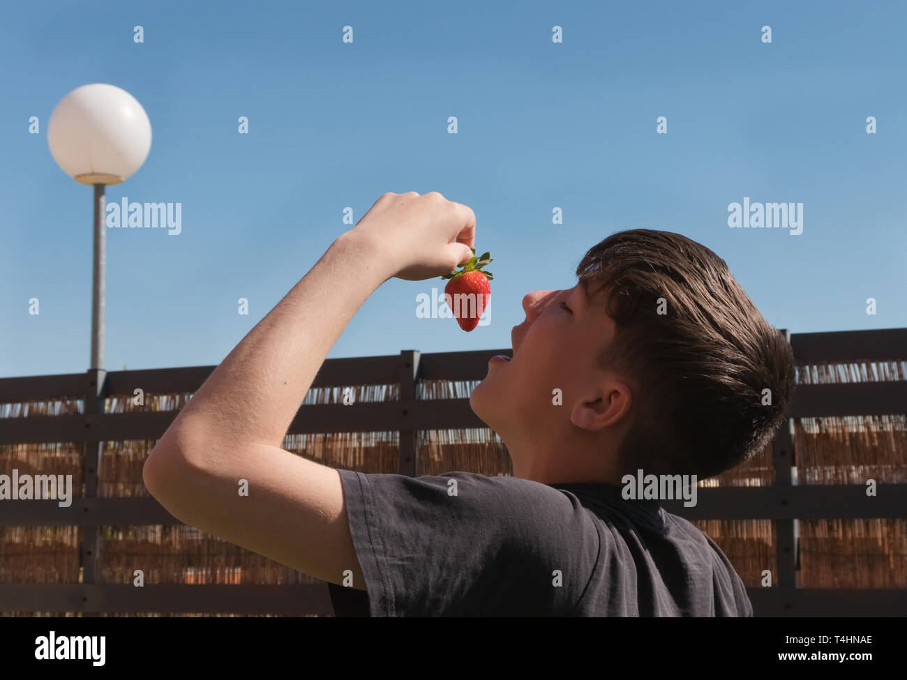 Boy eating one delicious strawberry outdoors, with blue sky background Stock Photo