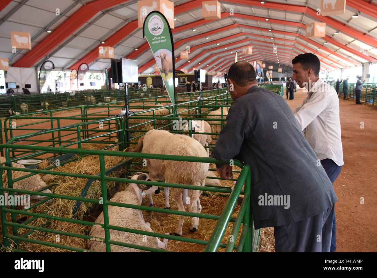 International Agriculture Fair Stock Photos International