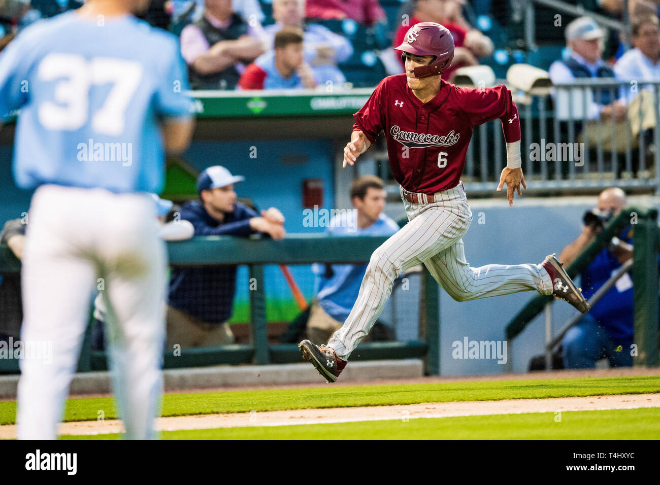 Charlotte, North Carolina, USA. 16th Apr 2019. South Carolina Infielder GEORGE CALLIL (6) during the NCAA College Baseball game between the North Carolina Tar Heels and the South Carolina Gamecocks at the BB&T Ballpark on Tuesday April 16, 2019 in Charlotte, NC. Jacob Kupferman/CSM Credit: Cal Sport Media/Alamy Live News Stock Photo