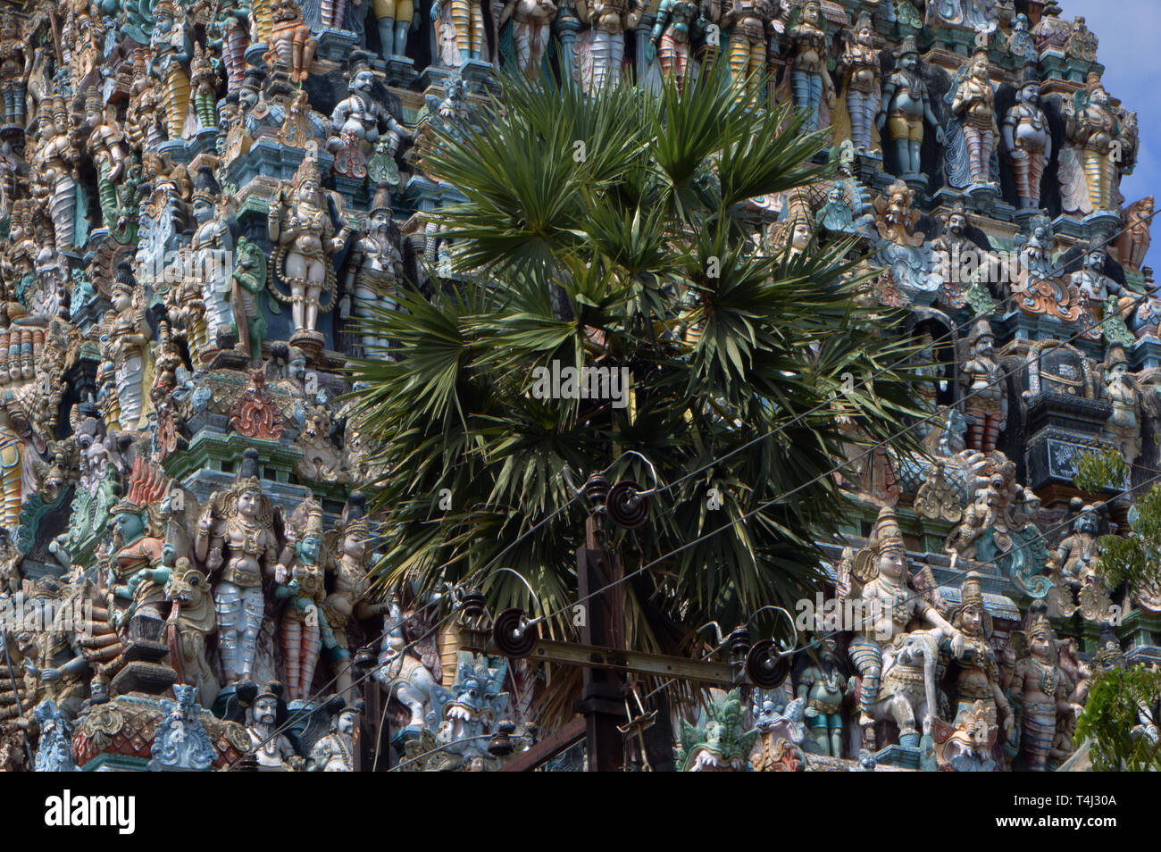 Madurai, Indien. 10th Feb, 2019. A palm tree stands in front of a Meenakshi temple in Madurai in the south of India - uncountable colored sculptures can be seen at the nine towers, taken on 10.02.2019 | usage worldwide Credit: dpa/Alamy Live News Stock Photo