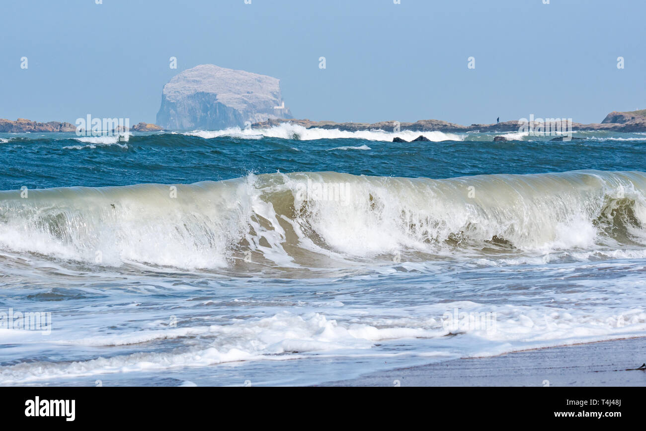 North Berwick, East Lothian, Scotland, United Kingdom, 17th April 2019. UK Weather: strong wind over the last few days creates a swell in the sea in the Forth of Forth with waves crashing along the shore at Milsey Bay. The haze reduces visibility but the Bass Rock can be seen white with nesting gannets, the largest Northern gannet colony Stock Photo