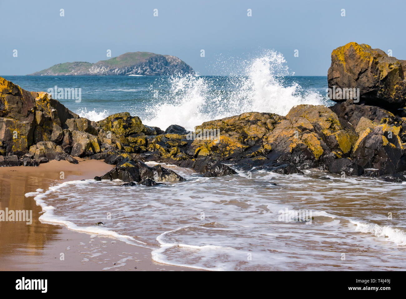 East Lothian, Scotland, United Kingdom, 17th April 2019. UK Weather: strong wind creates a large swell in the sea in the Forth of Forth with waves crashing along the shore with a view of Craigleith Island behind a rocky shoreline Stock Photo