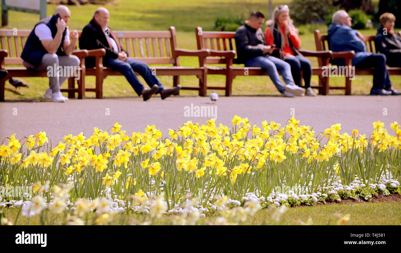 Glasgow, Scotland, UK, 17th April, 2019, UK Weather: Sunny summer day  over the west end of the city and locals and tourists make the most of the temperatures by taking to the Botanics park.  Credit Gerard Ferry/Alamy Live News Stock Photo