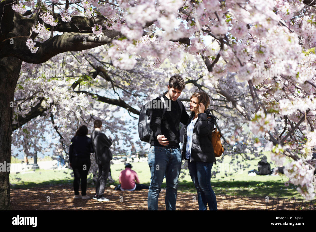 New York, USA. 16th Apr, 2019. Visitors take selfies at the Cherry Hill ...