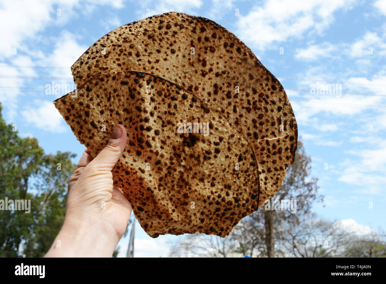 Shmurah matzo made from grain that has been under special supervision - Jewish Passover Stock Photo