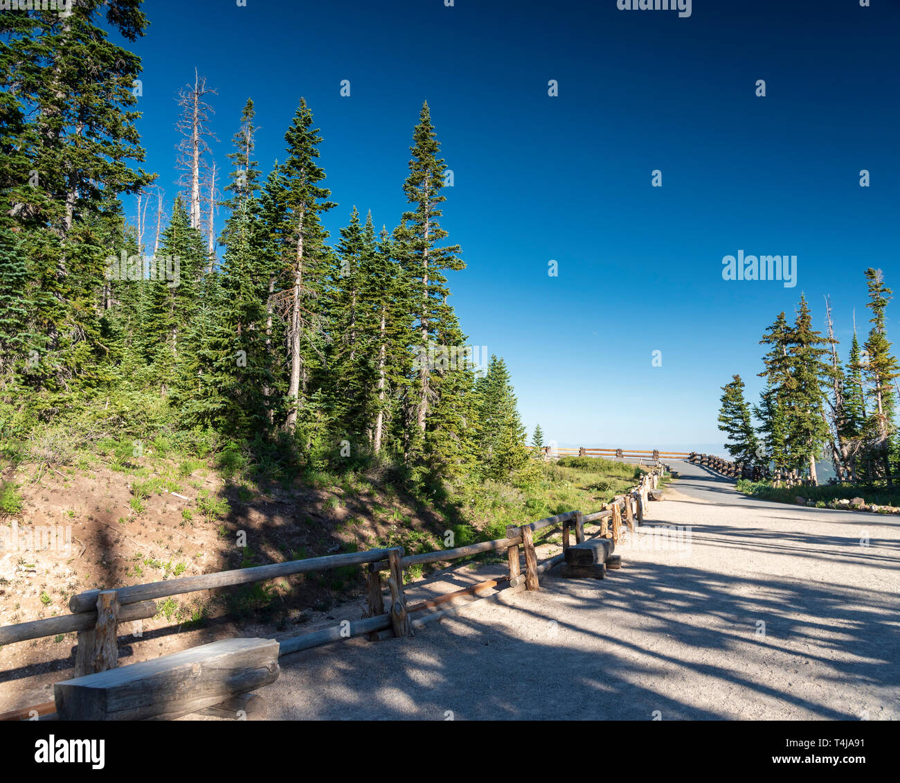 Gravel path with log fence and forest on both sides leads to view point beyond under a blue sky. Stock Photo