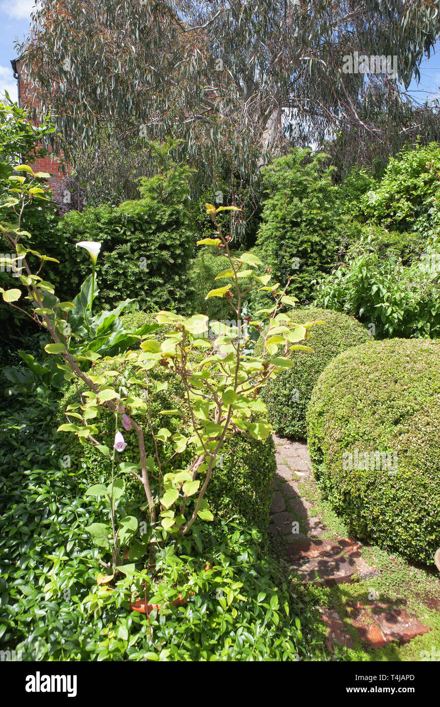 A wellstocked English garden, Alverstoke, Gosport, Hampshire, England