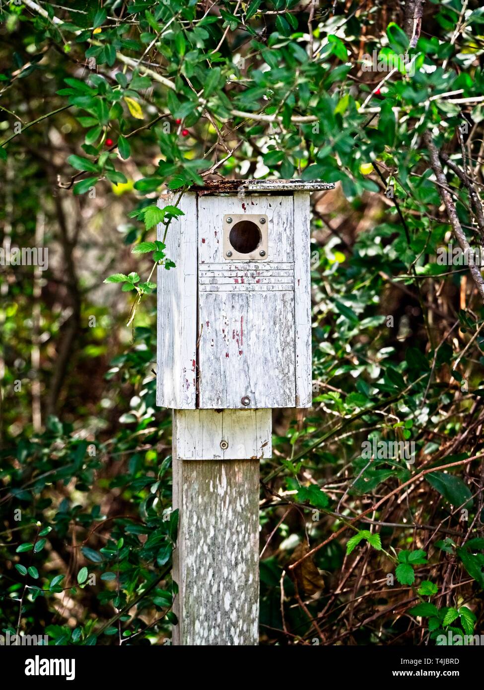 The Woodlands, TX USA - 02/17/2019  -  Old Birdhouse in Woods Stock Photo