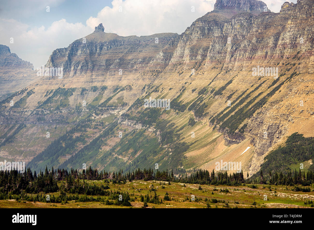 Garden Wall, Glacier National Park, USA Stock Photo Alamy