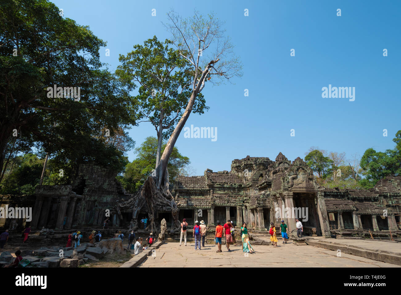 Preah Khan ancient hindu temple Interior area. Part of Angkor Wat archeological park in Cambodia close to Siem Reap Stock Photo