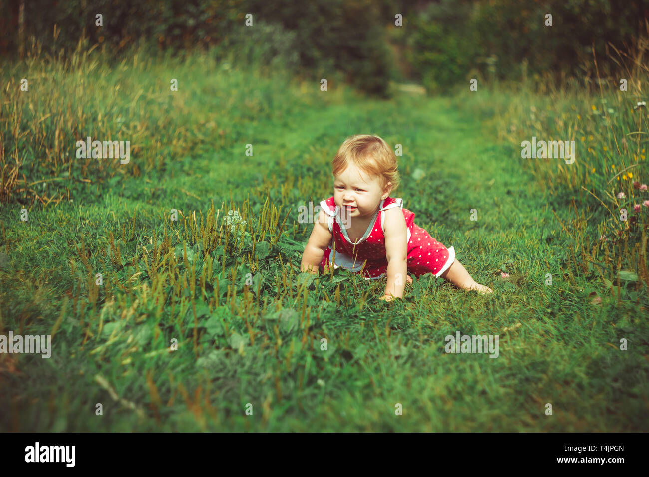 Little girl in a dress sitting on the grass Stock Photo - Alamy