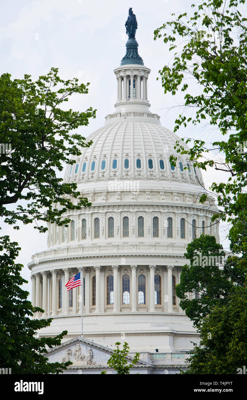 The United States Capitol building, Washington DC, USA. Stock Photo