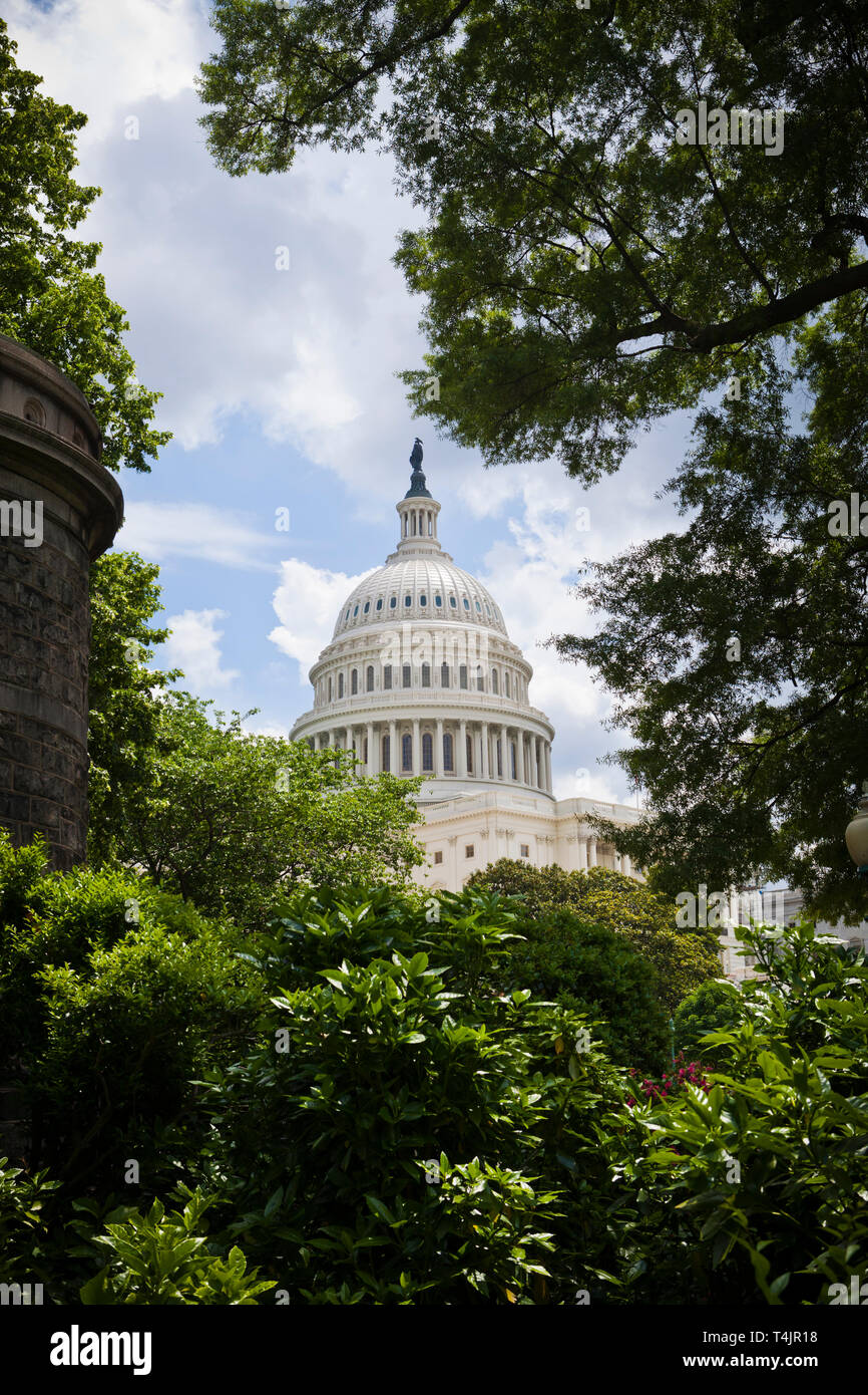 The United States Capitol building, Washington DC, USA. Stock Photo