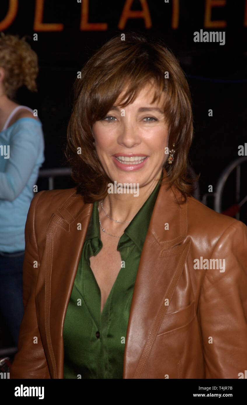 Anne archer actress hi-res stock photography and images - Alamy