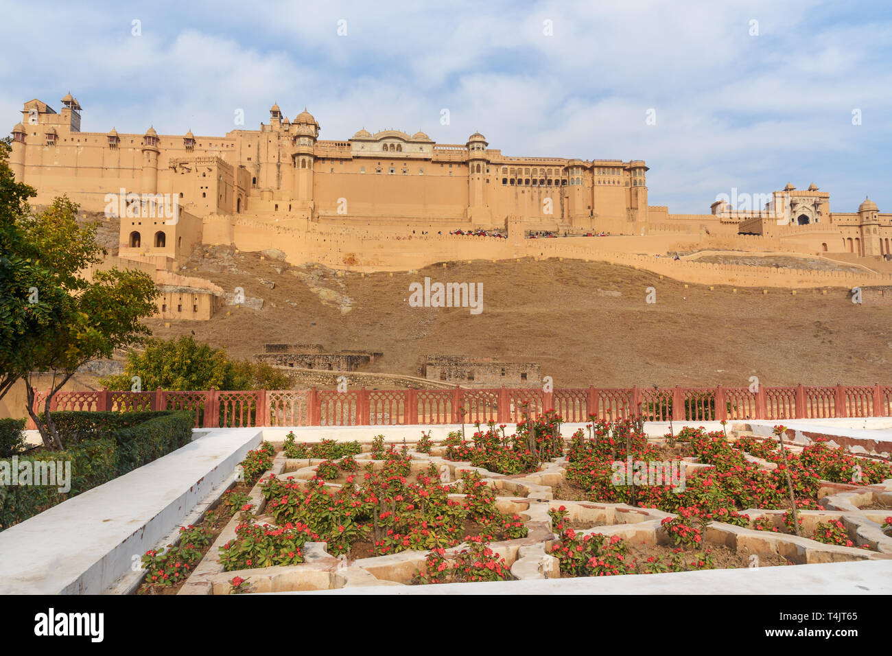 View of Amber fort and palace from Kesar Kyari Bagh garden on Maotha ...