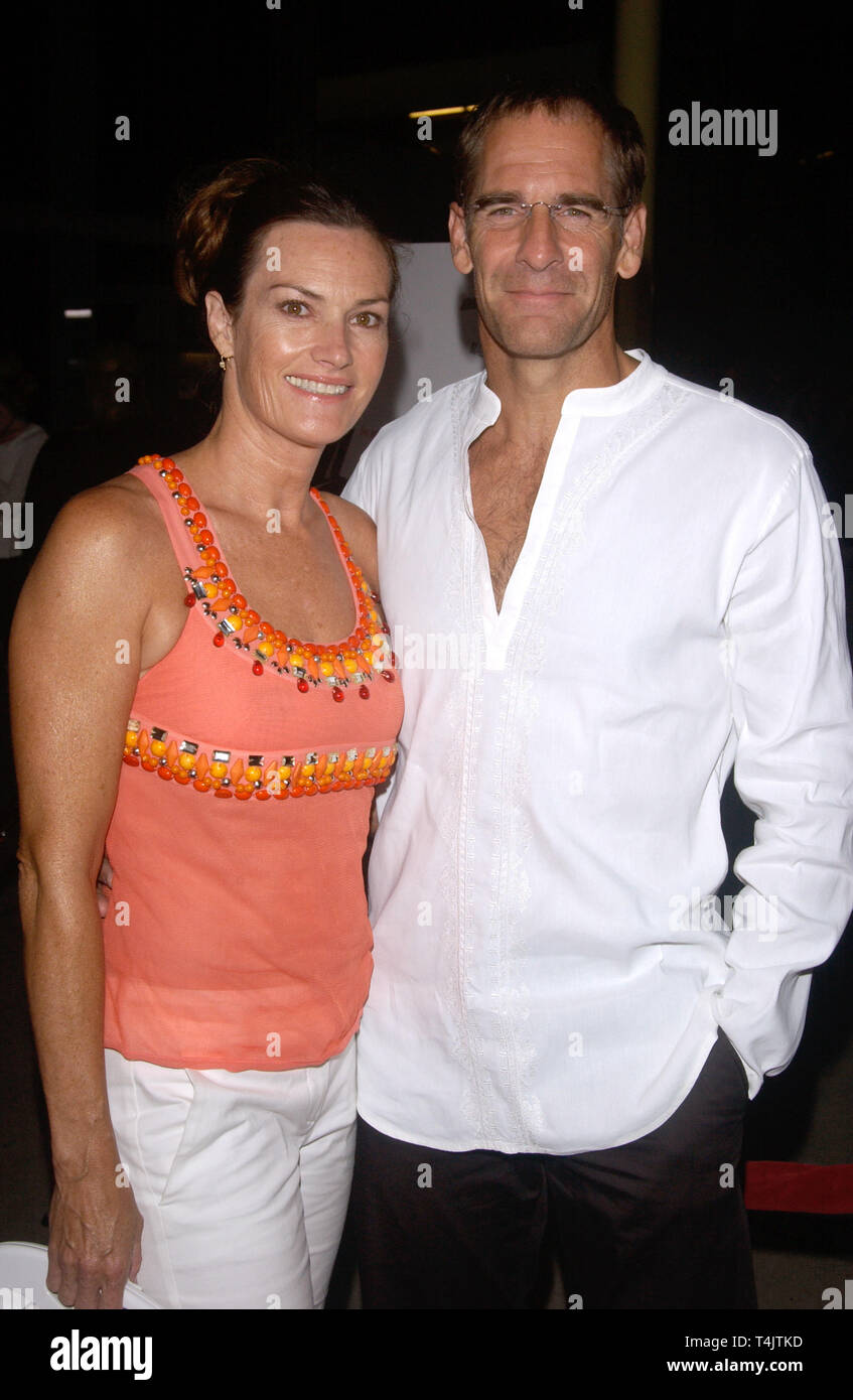 Scott bakula wife chelsea field hi res stock photography and images Alamy