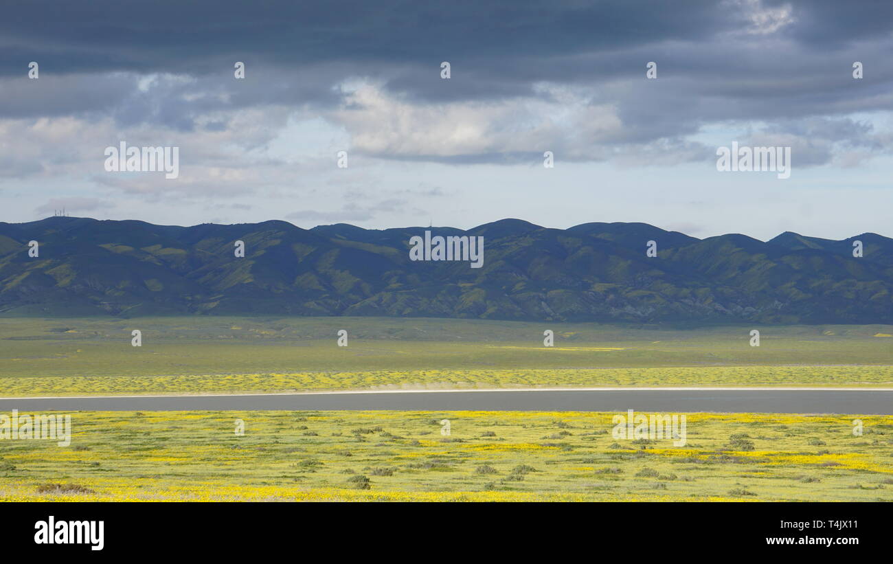 California Goldenfields or Lasthenia californica. Super Bloom 2019, Carizzo Plain National Monument, California, USA Stock Photo
