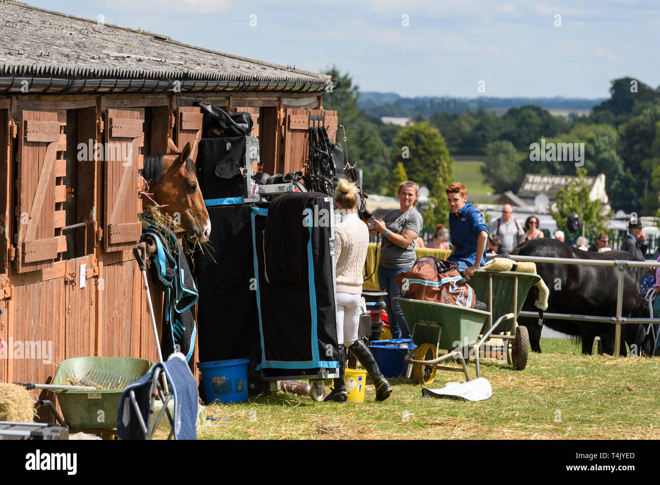 Grooms & entrants in equestrian completion prepare tack in stable yard as horse eating hay, looks over stable door- Great Yorkshire Show, England, UK. Stock Photo