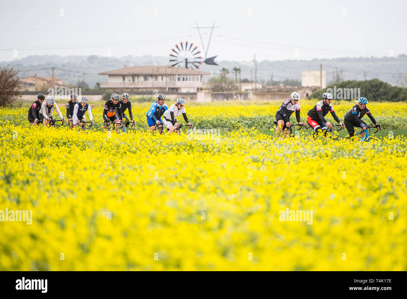 Cycling on Mallorca Stock Photo