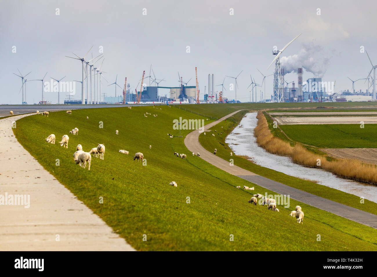 Eemshaven seaport in the north-west of the Netherlands, Energy Park for power supply by various power plants and with wind turbines of the wind farm W Stock Photo