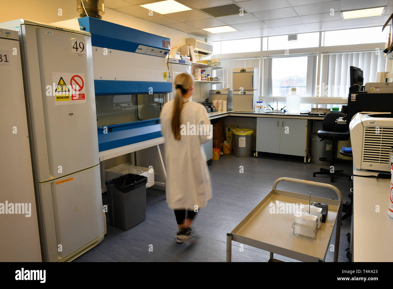 A technician in a medical clinical laboratory, based at University of Bristol. PRESS ASSOCIATION Photo. Picture date: Monday April 8, 2019. Photo credit should read: Ben Birchall Stock Photo