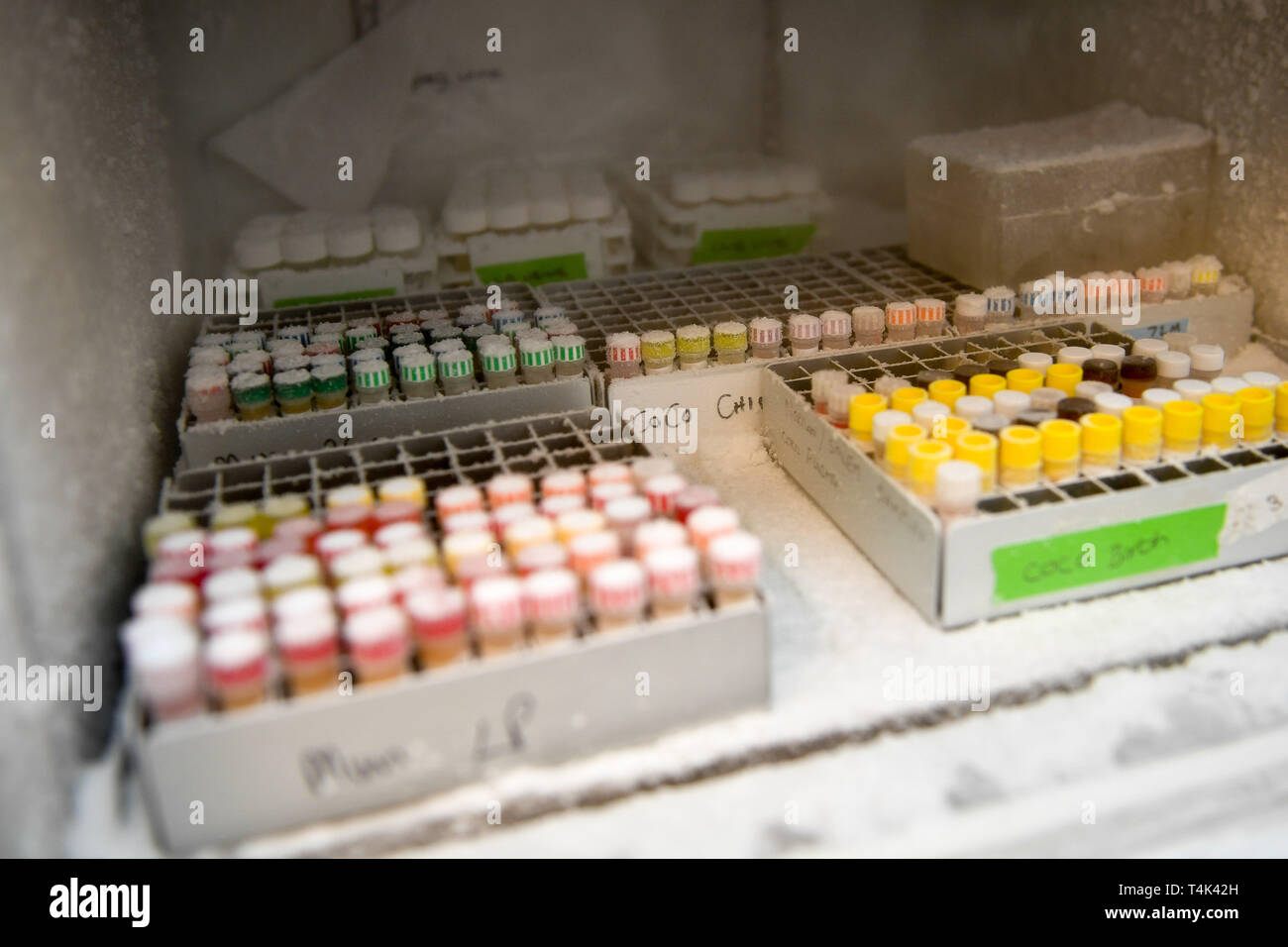 Medical samples and human tissues inside a deep freezer in a medical clinical laboratory, based at University of Bristol. PRESS ASSOCIATION Photo. Picture date: Monday April 8, 2019. Photo credit should read: Ben Birchall Stock Photo