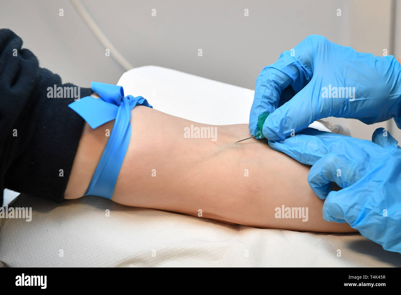 A needle or butterfly cannula is inserted into a vein in an arm with a tourniquet to take blood from a patient in a medical clinic, based at University of Bristol. PRESS ASSOCIATION Photo. Picture date: Monday April 8, 2019. Photo credit should read: Ben Birchall Stock Photo